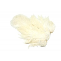 Whiting Rooster SH/C