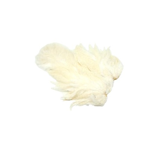 Whiting Rooster SH/C